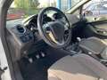 Ford Fiesta 5p ST-line 1.0 ecoboost 100cv Bílá - thumbnail 8