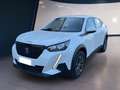 Peugeot 2008 II 2020 1.5 bluehdi Active Pack s&s 110cv Bianco - thumbnail 2