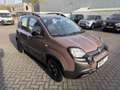 Fiat Panda 70pk Trussardi (Automatische Airco - Parkeersensor Braun - thumbnail 7