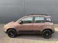 Fiat Panda 70pk Trussardi (Automatische Airco - Parkeersensor Braun - thumbnail 2