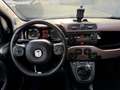 Fiat Panda 70pk Trussardi (Automatische Airco - Parkeersensor Braun - thumbnail 14