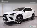 Lexus NX 300 300h F Sport Panorámico 4WD bijela - thumbnail 1