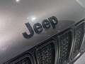 Jeep Renegade 1.0 Night Eagle II 4x2 Grigio - thumbnail 11