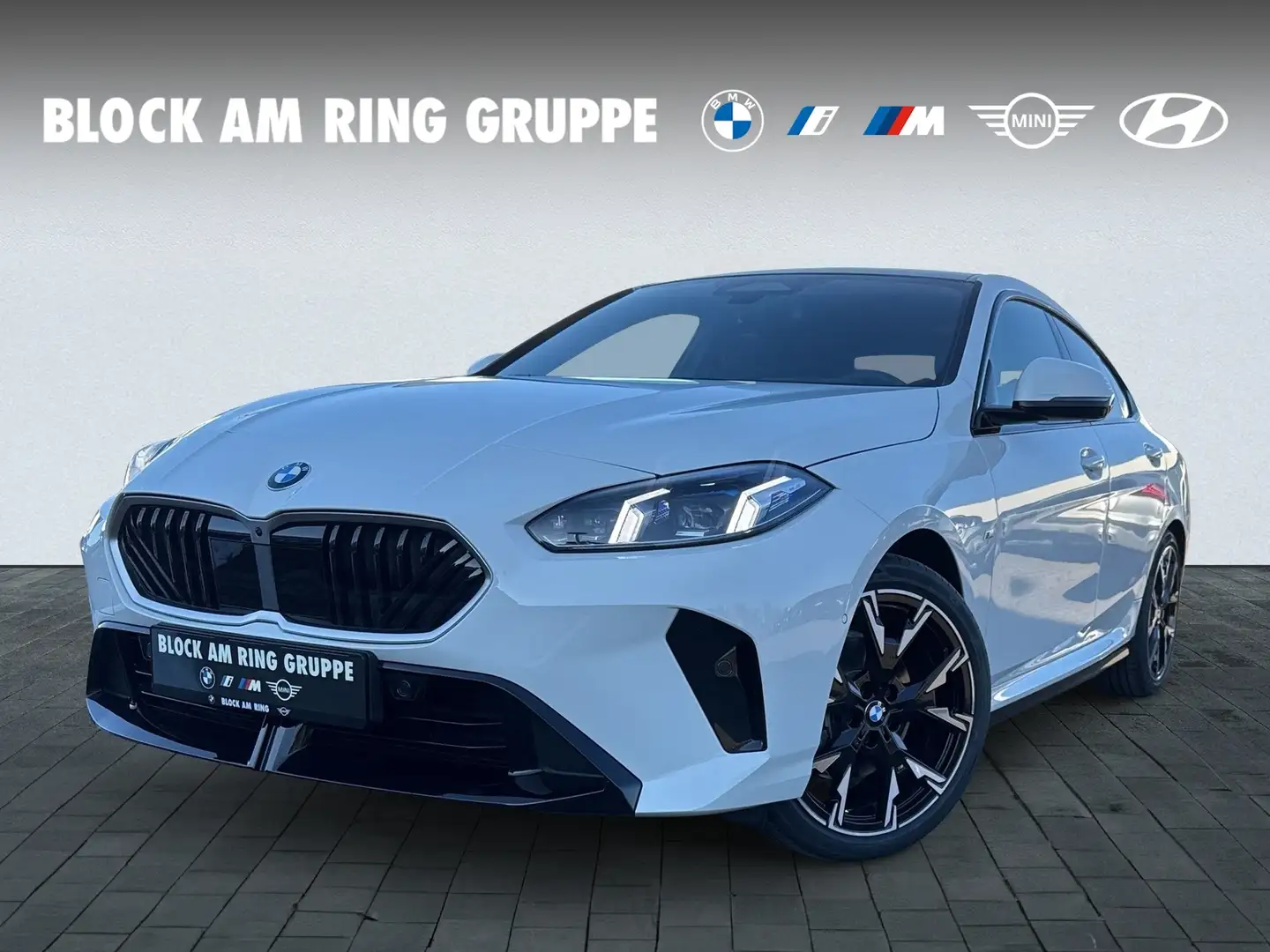 BMW 220 D M Sport ALED LHZ DA+ PA+ AHK HUD NAVI Prof. Blanco - 1