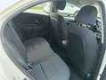 Kia Rio Rio III 5p 1.1 crdi Cool Techno Pack E6 Blanco - thumbnail 11