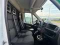 Fiat Ducato C.Cabina Maxi 35 L4 2.3 1FA (103 kW) Blanco - thumbnail 3