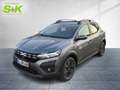 Dacia Sandero Stepway Expression TCe 90 CVT *GJR*USB* Gris - thumbnail 1