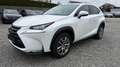 Lexus NX 300 Hybrid Executive Line Wit - thumbnail 1