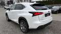 Lexus NX 300 Hybrid Executive Line Wit - thumbnail 5