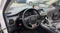 Lexus NX 300 Hybrid Executive Line Wit - thumbnail 11