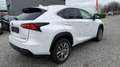 Lexus NX 300 Hybrid Executive Line Wit - thumbnail 4