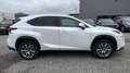 Lexus NX 300 Hybrid Executive Line Wit - thumbnail 3