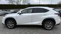 Lexus NX 300 Hybrid Executive Line Wit - thumbnail 6