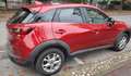Mazda CX-3 CX-3 2.0 Evolve 2wd 120cv auto Rosso - thumbnail 2