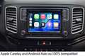 SEAT Alhambra 2.0 TDI FR-Line~Allrad~StandHZ~AHK Blau - thumbnail 19