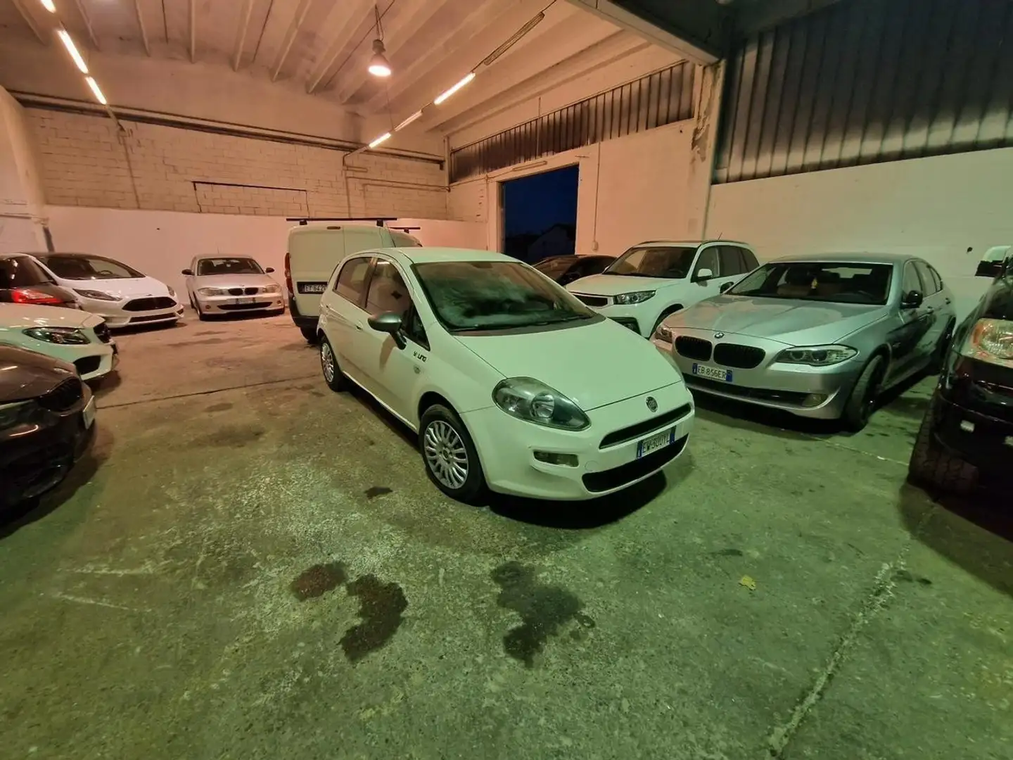 Fiat Punto Evo 5p 1.3 mjt Dynamic 90cv - 1