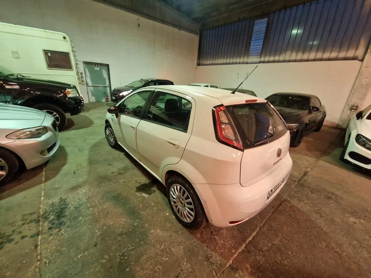 Fiat Punto Evo 5p 1.3 mjt Dynamic 90cv - 2