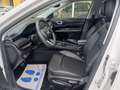 Jeep Compass Compass 1.3 Turbo T4 240 CV PHEV AT6 4xe Trailhawk Blanc - thumbnail 6
