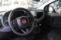 Fiat Panda 1.0 FireFly S&S Hybrid MY 25 Pack City Bleu - thumbnail 10