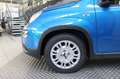 Fiat Panda 1.0 FireFly S&S Hybrid MY 25 Pack City Bleu - thumbnail 5
