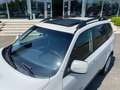 Subaru Forester 2.0D XS Trend 4X4 TAGLIANDI SUBARU TETTO GARANIAZ Bianco - thumbnail 10