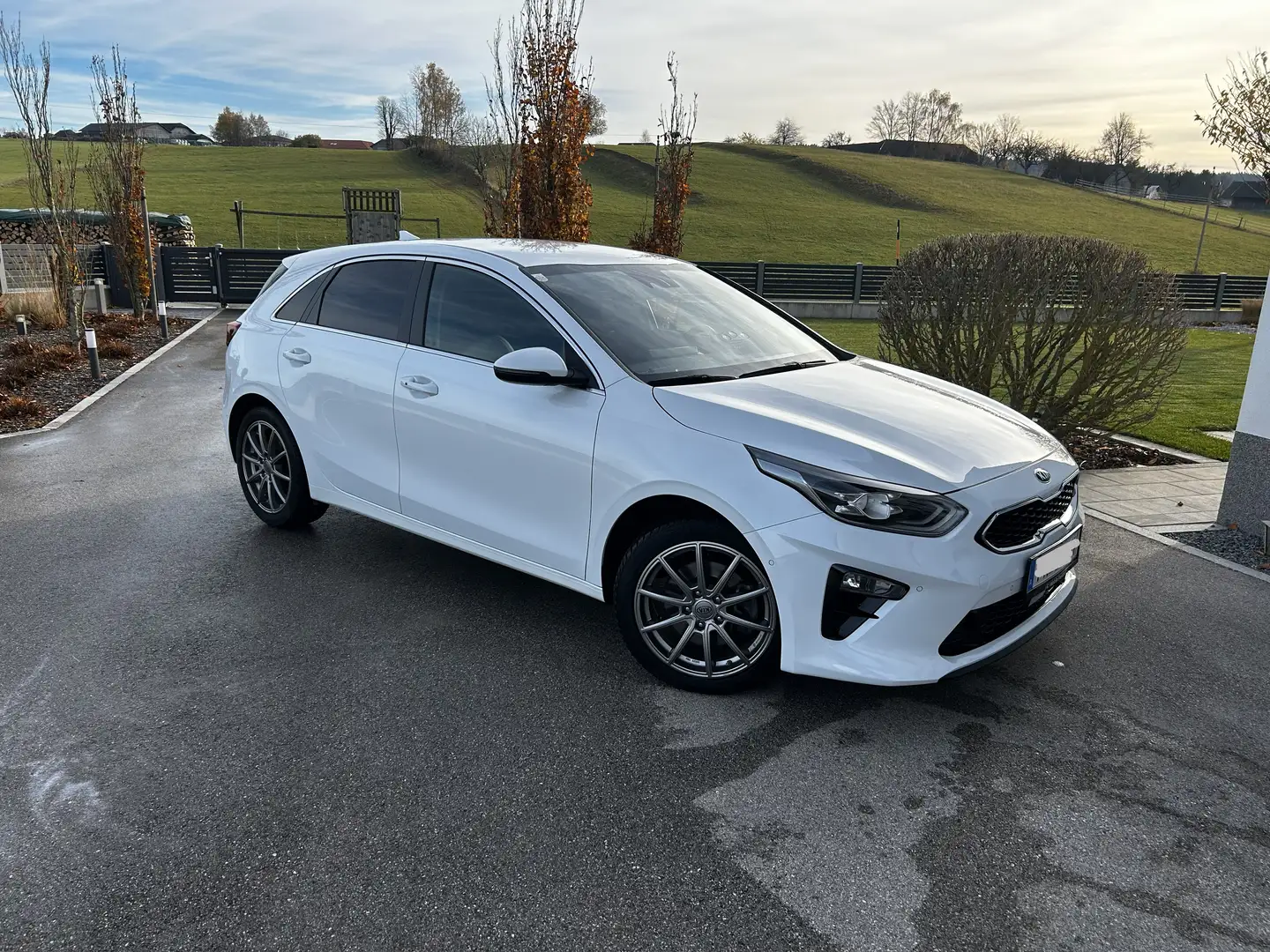 Kia Ceed / cee'd ceed 1,5 TGDI Platin, Voll-LED, Sitzbelüftung, uvm., sehr gepflegt. Weiß - 1
