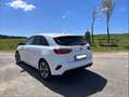 Kia Ceed / cee'd ceed 1,5 TGDI Platin, Voll-LED, Sitzbelüftung, uvm., sehr gepflegt. Weiß - thumbnail 6