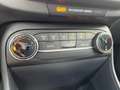Ford Fiesta 1.0 Ecoboost 100 CV Titanium #2.Anni.Garanzia siva - thumbnail 13