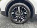 Volkswagen Tiguan Elegance 1.5 TSI DSG LED STANDHZG KAMERA Blanc - thumbnail 16