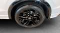 Volkswagen Tiguan 2.0 TDI 142 kW 4Motion R-Line Weiß - thumbnail 6