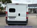 Citroen Jumper *WOHNMOBIL UMBAU*SOLAR*TÜV-NEU* Weiß - thumbnail 15