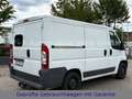 Citroen Jumper *WOHNMOBIL UMBAU*SOLAR*TÜV-NEU* Weiß - thumbnail 3