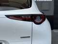 Mazda CX-30 2.5 e-Skyactiv-G Takumi BLOP FWD 103kW Bílá - thumbnail 20