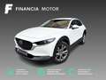 Mazda CX-30 2.5 e-Skyactiv-G Takumi BLOP FWD 103kW Bílá - thumbnail 1