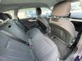 Audi A4 AVANT 35 TDI 163 CV STronic 5 Serie 1Proprietario Gris - thumbnail 13