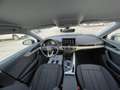 Audi A4 AVANT 35 TDI 163 CV STronic 5 Serie 1Proprietario Gris - thumbnail 15
