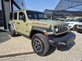 Jeep Wrangler Unlimited 2.0 Turbo Rubicon - NESSUN VINCOLO DI F Verde - thumbnail 7