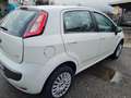 Fiat Grande Punto 1200 5p 1.2 Actual 65 cv - neopatentati Blanc - thumbnail 4