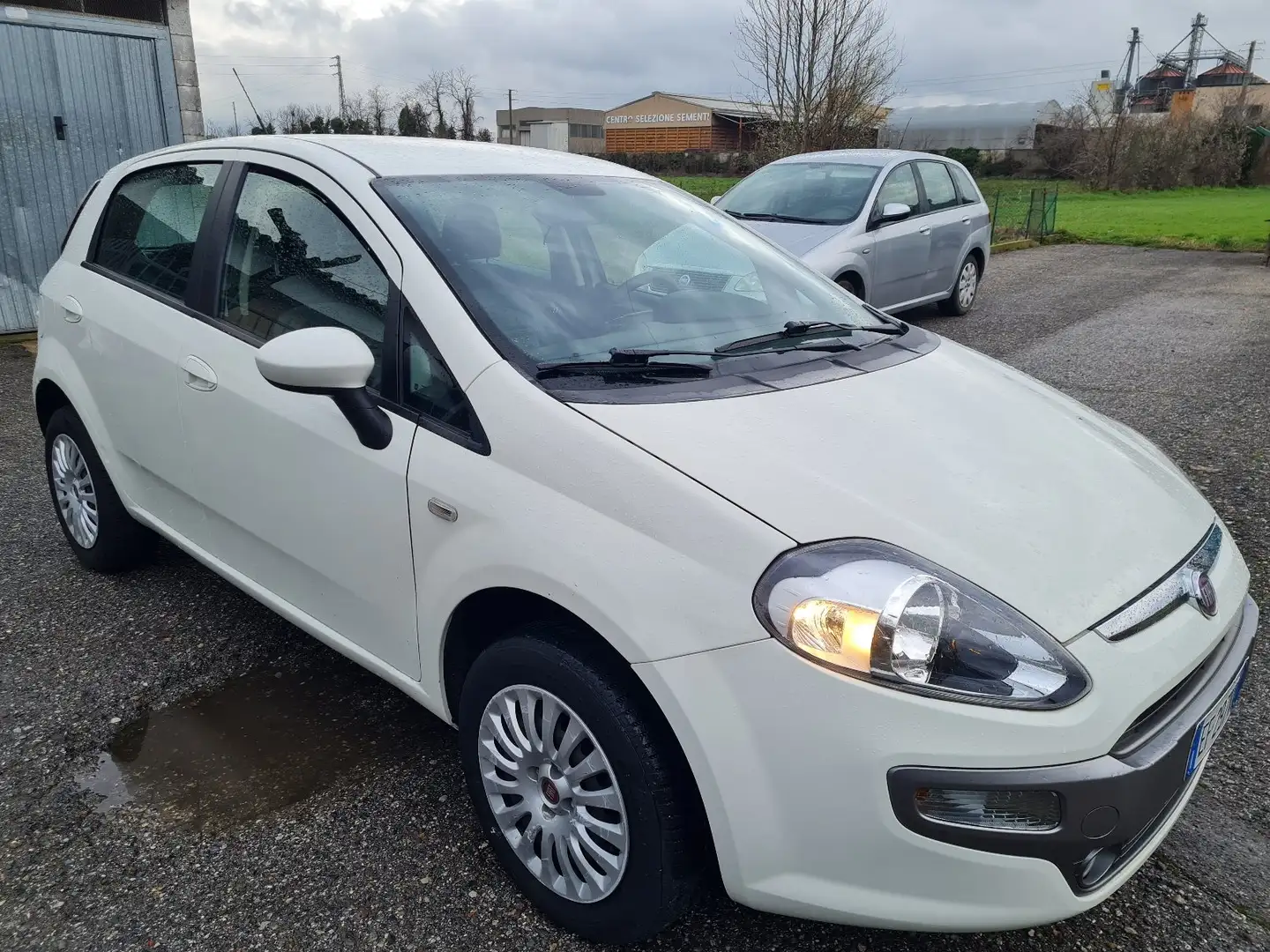 Fiat Grande Punto 1200 5p 1.2 Actual 65 cv - neopatentati White - 1