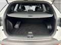 Hyundai TUCSON 2WD 48V EDITION KLIMA*ACC*KAMER*SITZHZ Klima Navi Blanc - thumbnail 9