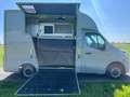 Renault Master HENGSTENUITVOERING 47.024 EURO + BTW Grau - thumbnail 3