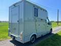 Renault Master HENGSTENUITVOERING 47.024 EURO + BTW Grau - thumbnail 4