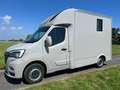 Renault Master HENGSTENUITVOERING 47.024 EURO + BTW Grau - thumbnail 2