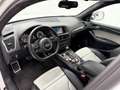 Audi SQ5 3.0 TDI Quattro S-Line B&O Pano Xenon Plus Blanc - thumbnail 12