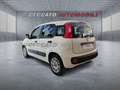 Fiat Panda Panda 1.3 mjt 16v Easy s&s 95cv Білий - thumbnail 3
