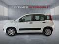 Fiat Panda Panda 1.3 mjt 16v Easy s&s 95cv Білий - thumbnail 2