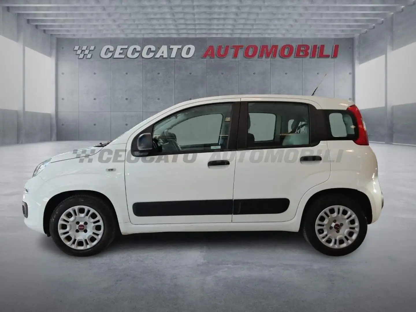 Fiat Panda Panda 1.3 mjt 16v Easy s&s 95cv Білий - 2
