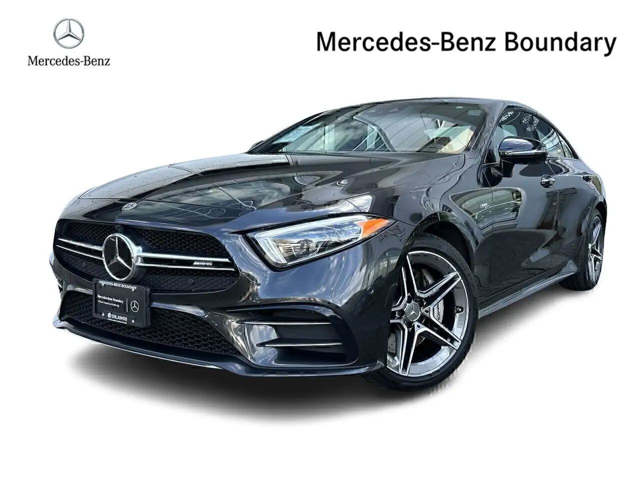 2019 Mercedes-Benz CLS
