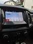 Ford Ranger Ranger Doppelkabine Wildtrak 4x4 Aut. Wildtrak Weiß - thumbnail 7