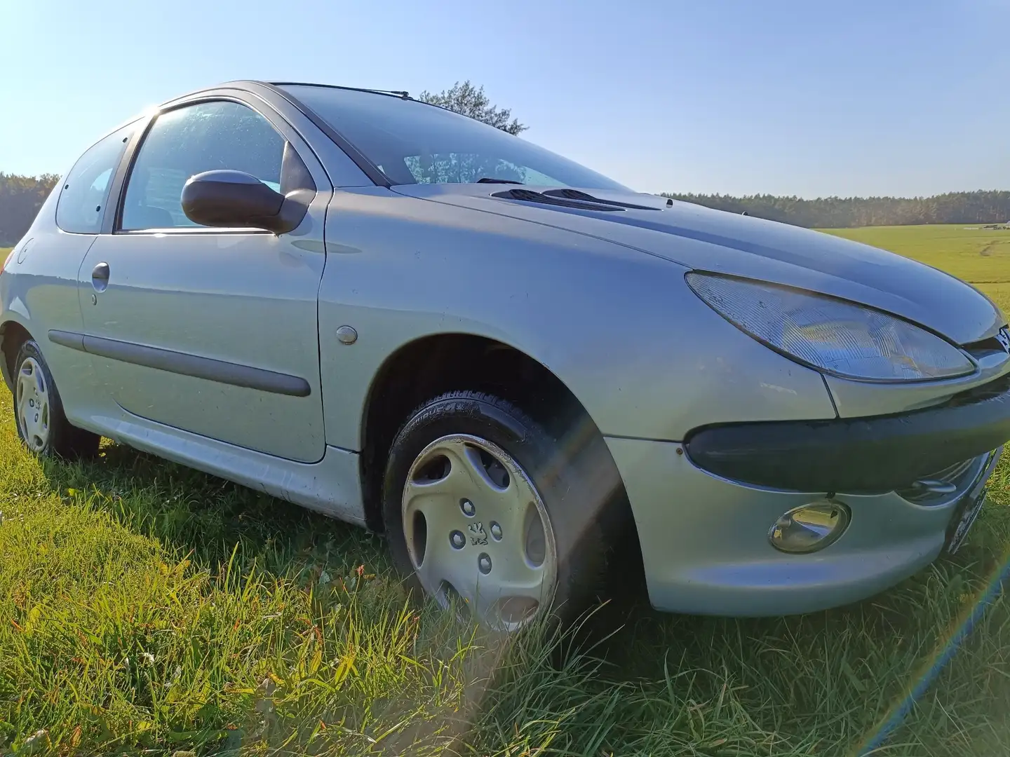 Peugeot 206 voll fahrbereit Grau - 2